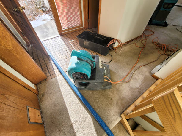 Best Water damage repair service  in Tusculum, TN