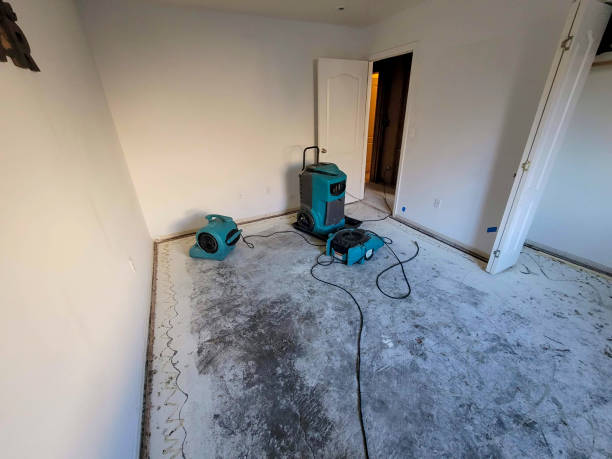 Best Residential water damage restoration  in Tusculum, TN