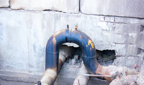 Reliable Tusculum, TN Water damage restoration Solutions