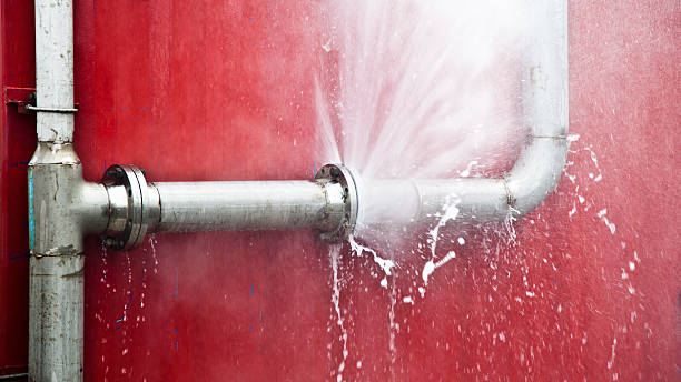 Best Local water damage restoration  in Tusculum, TN