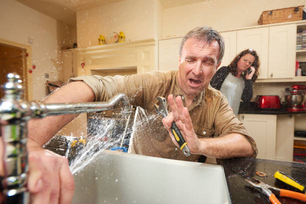 Best Sewage cleanup and water damage restoration  in Tusculum, TN